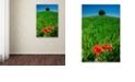 Trademark Global Michael Blanchette Photography 'Red Poppies and Oak' Canvas Art, 12" x 19"